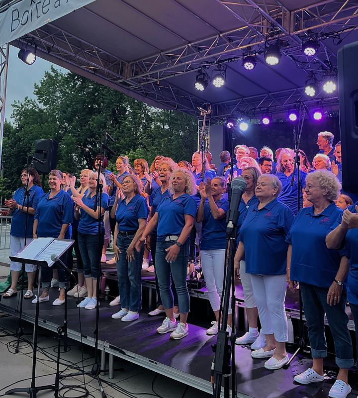 Concert de l'ensemble vocal art et son