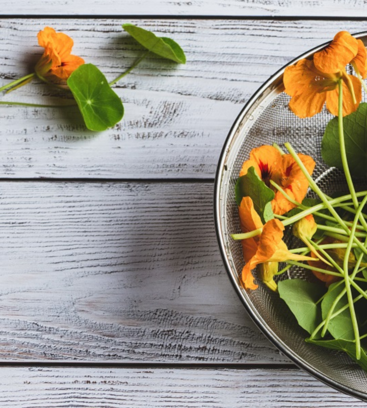 Fleurs dans votre assiette