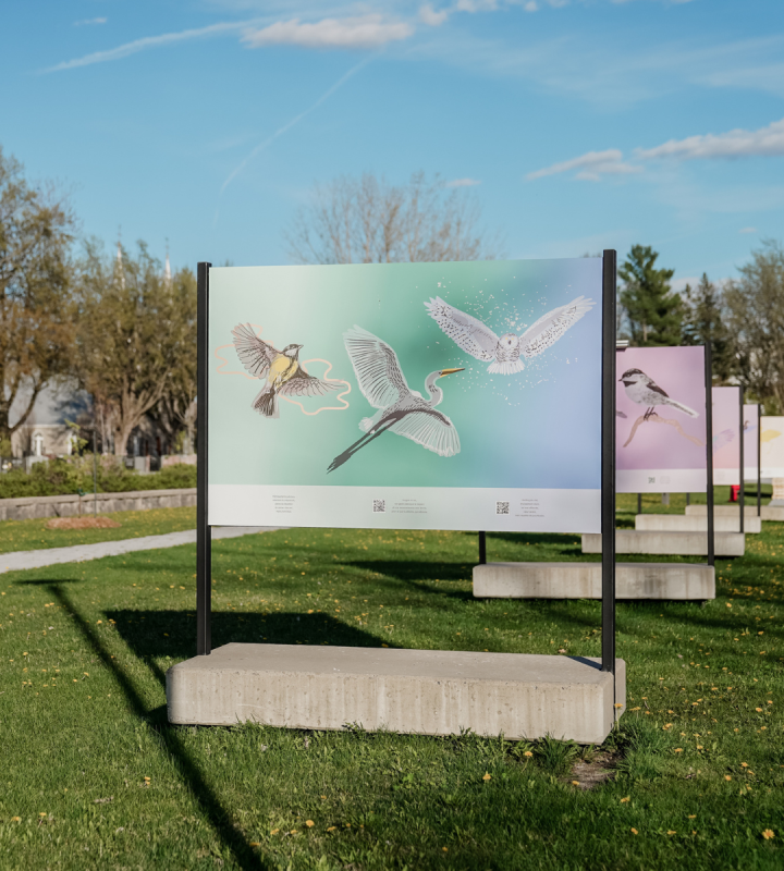 Exposition extérieure : Devenir chez nous | Espace Culturel de Repentigny