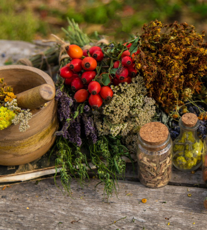 Plantes médicinales