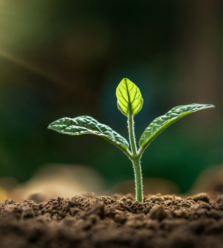 La permaculture