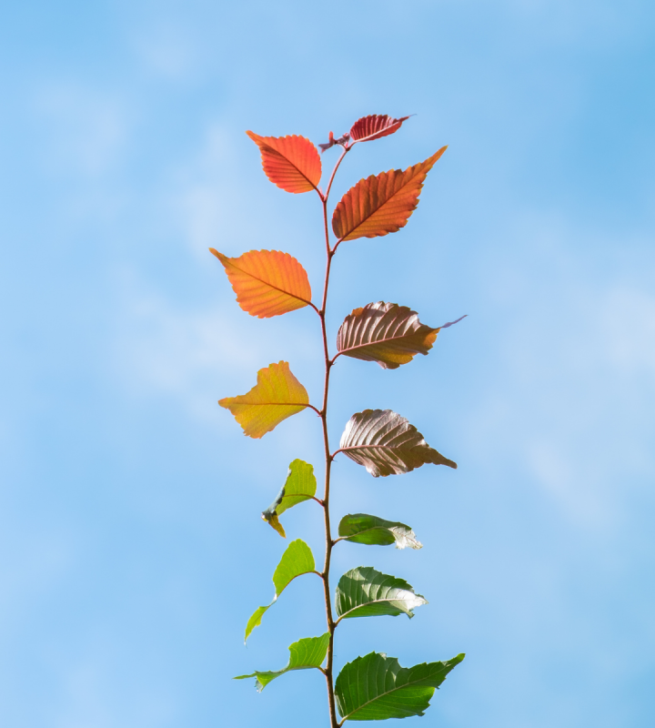 Vivre au rythme des saisons