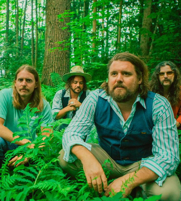 The Sheepdogs - Image principale