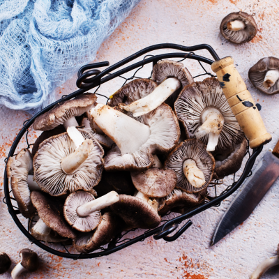 Champignons sauvages