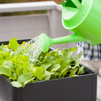 Jardinage en bac