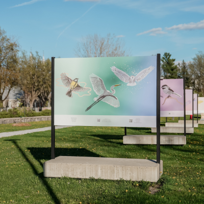 Exposition extérieure devenir chez nous
