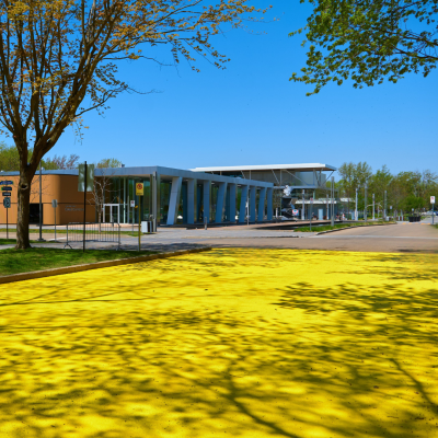 Allée jaune