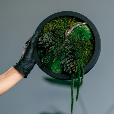 L'art de la forêt