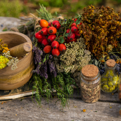 Plantes médicinales