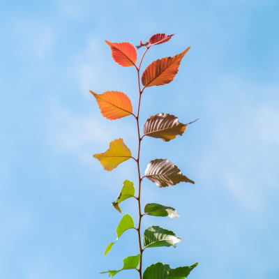 Vivre au rythme des saisons